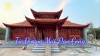 tu-duong-mai-dao-cong-chong-diem-bac-da - ảnh nhỏ  1