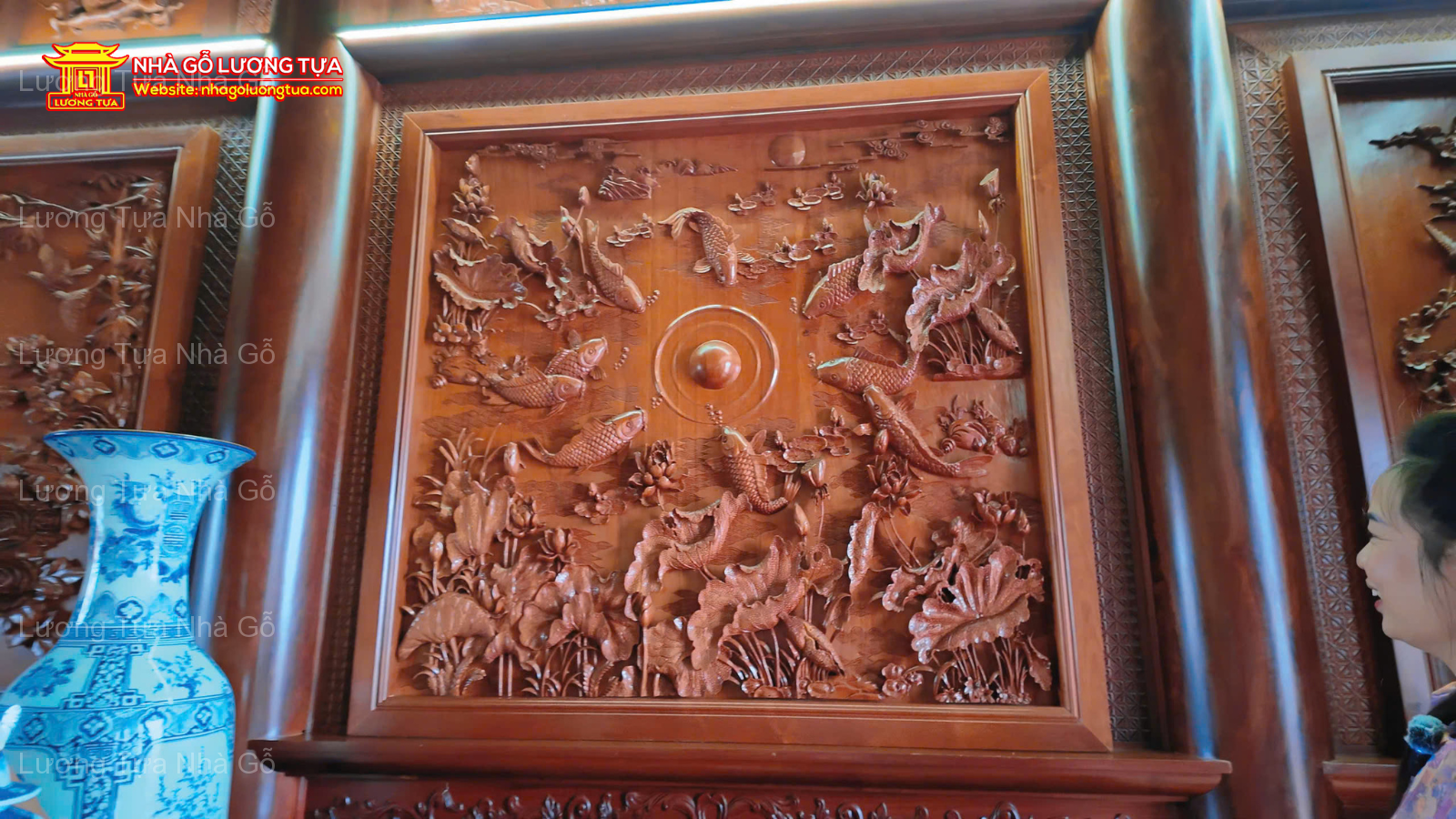cuu-ngu-quan-hoi-go